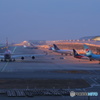 A380のある風景