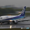 雨のイルカショー