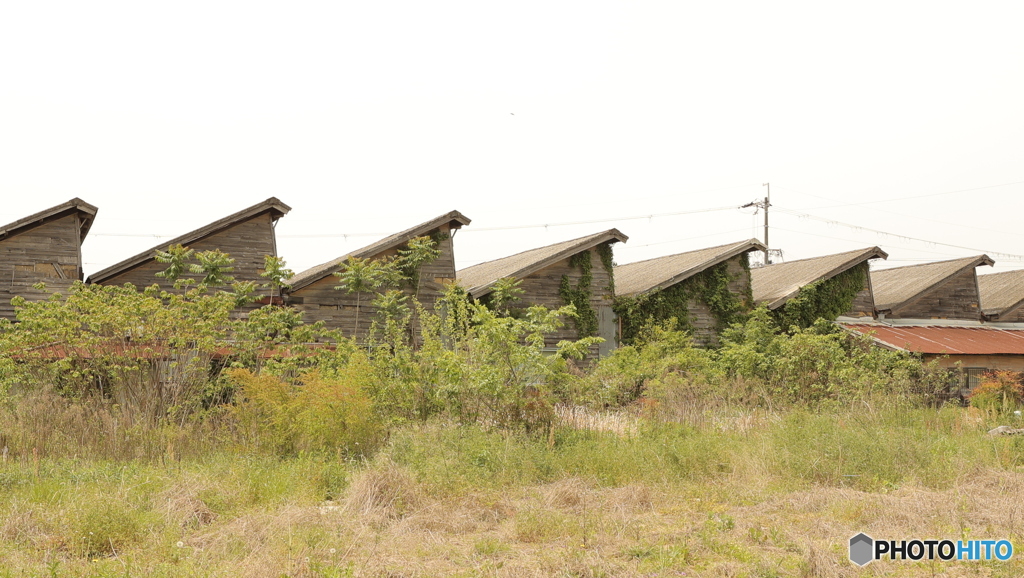 のこぎり屋根の情景