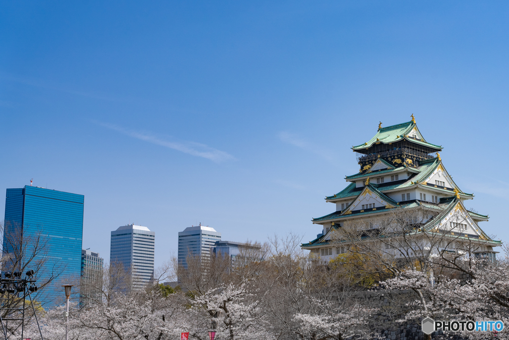 大阪の春