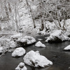冬の奥入瀬渓流