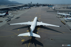 スカイブリッジ