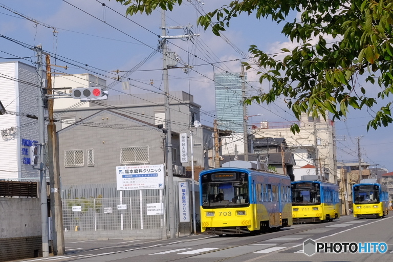 少し珍しい光景