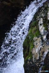 水の舞