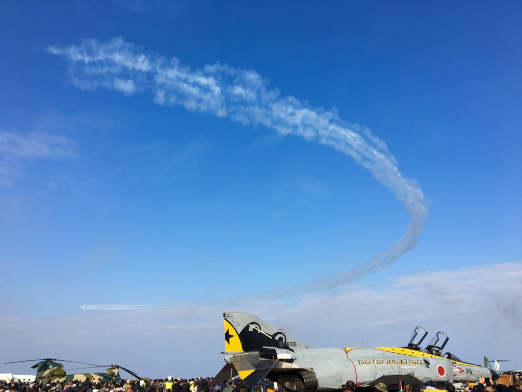 カエルが見た空