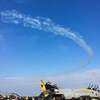 カエルが見た空