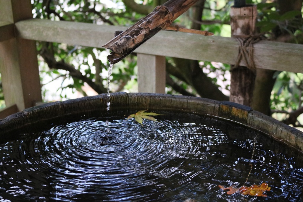 水面