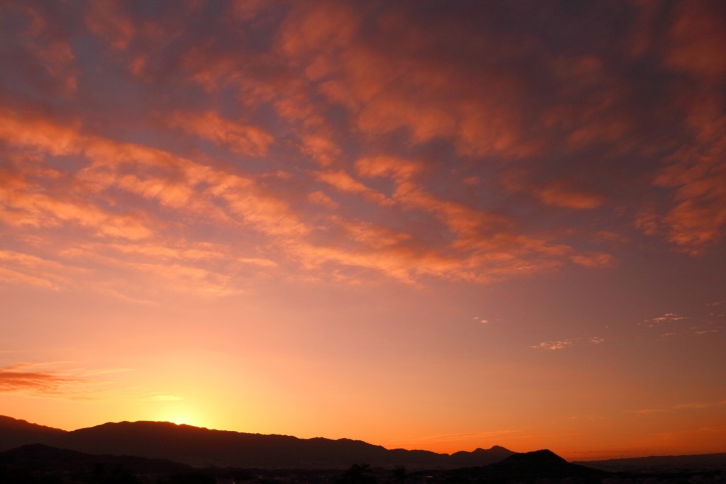 夕陽。