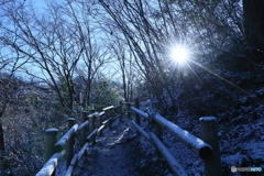 高尾山①
