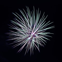 HANABI8