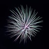 HANABI8