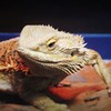 京都水族館