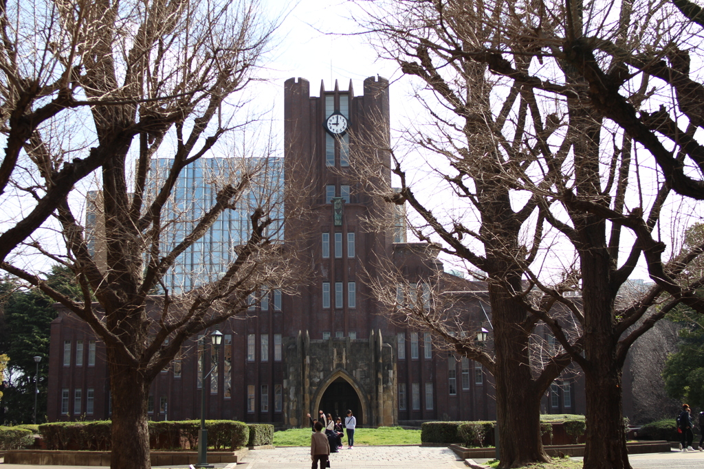 東京大学の日曜日午前９時