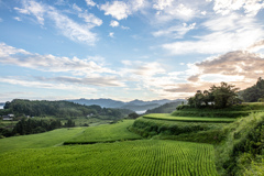 大分県杵築市山香町