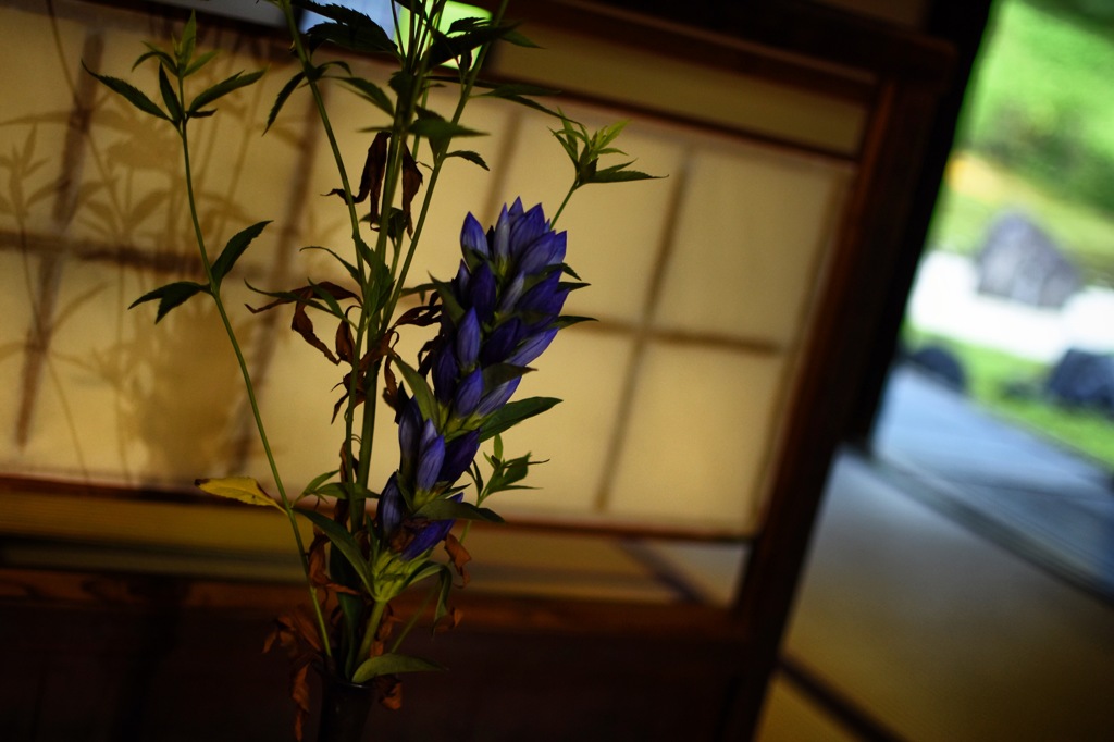 KYOTO