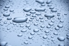 雨上がり