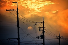 Morning Sun