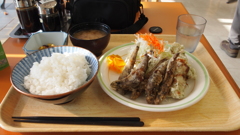 2010年10月茨城_2
