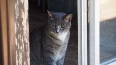 2010年10月江ノ島_4