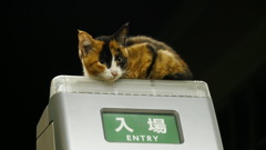 2016年10月扇町駅（夜）_6