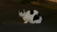 2016年10月夕やけだんだん_3