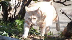 2014年3月伊豆_2