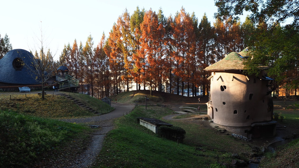 2016年11月あけぼの子どもの森公園_7