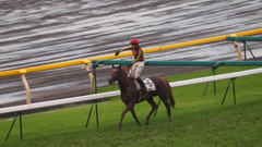 2011年5月日本ダービ_4