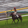 2011年5月日本ダービ_4
