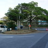 2016年10月袖ヶ浦公園_1