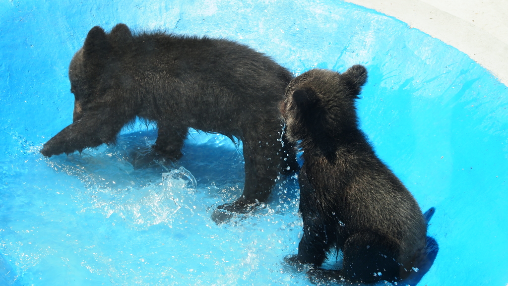 2012年6月北海道旅行_34