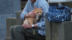 2016年10月夕やけだんだん・リベンジ_10