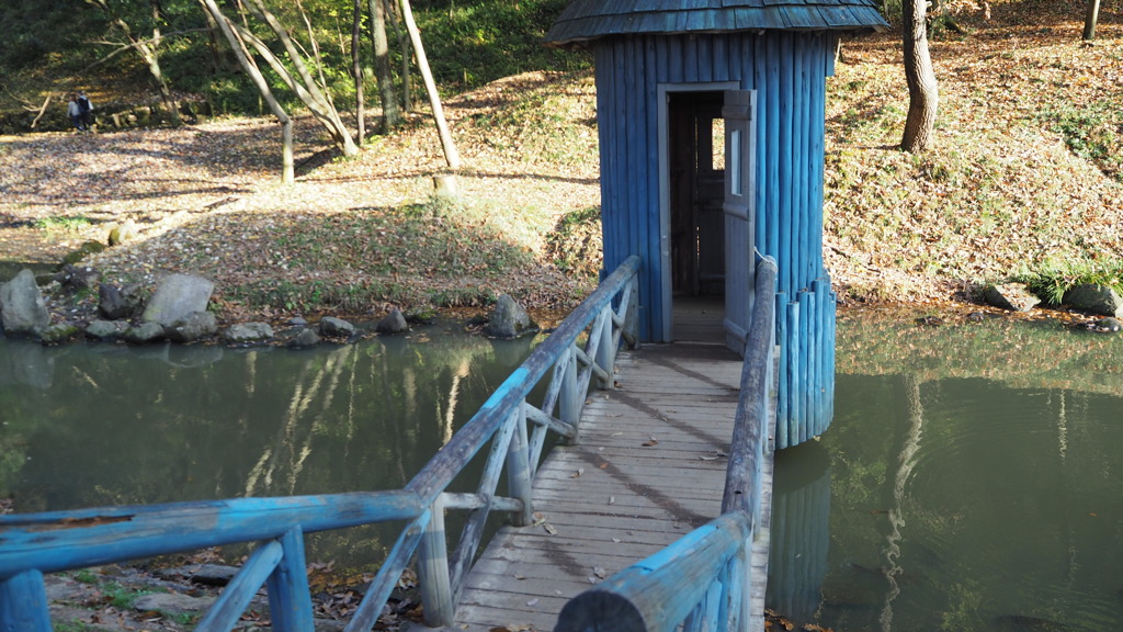 2016年11月あけぼの子どもの森公園_5