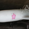 2017年3月戦場に散る桜_3