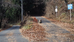 2016年12月信州旅行_11