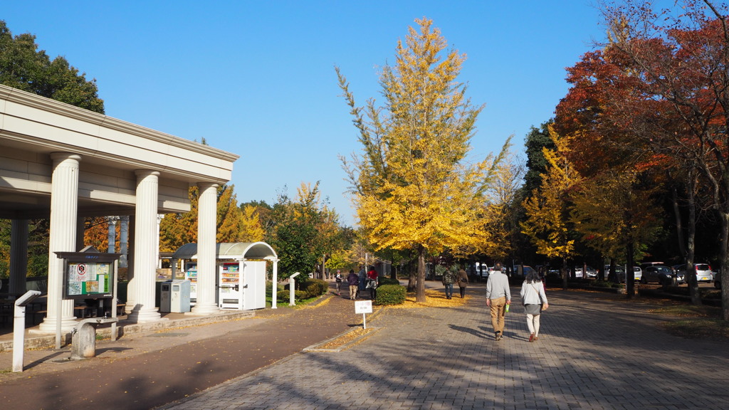 2016年11月秩父ミューズパーク_3