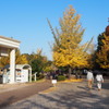 2016年11月秩父ミューズパーク_3
