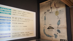 2016年11月杉浦醫院_9