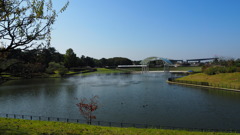 2016年10月ひたち海浜公園_2