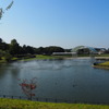2016年10月ひたち海浜公園_2