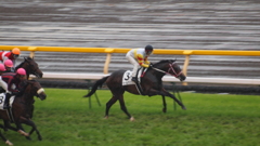 2011年5月日本ダービ_2