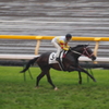 2011年5月日本ダービ_2