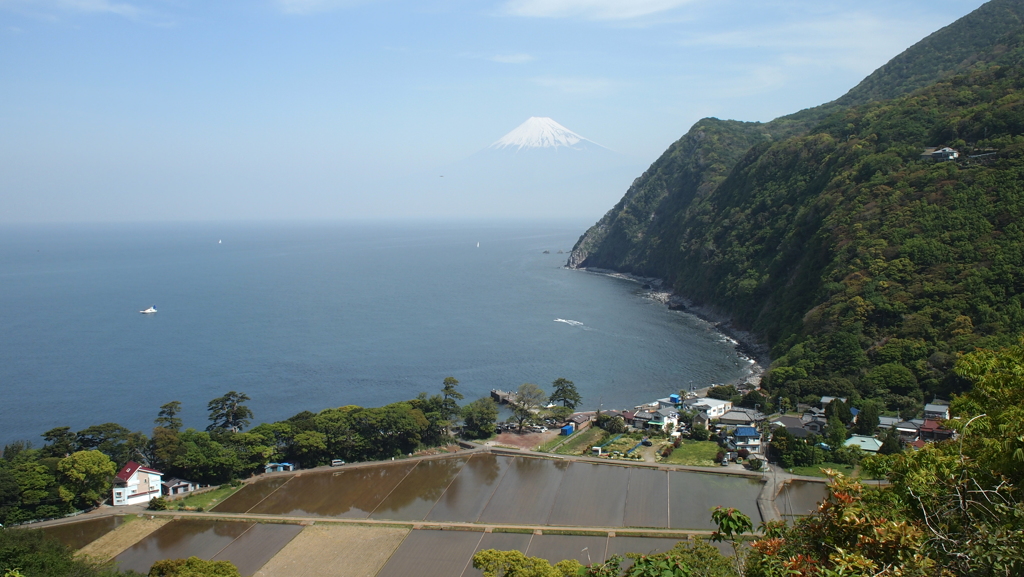 2014年5月伊豆_2