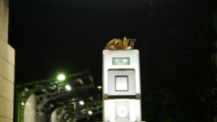 2016年10月扇町駅（夜）_2