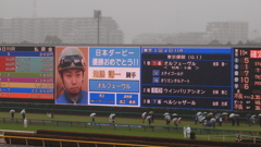 2011年5月日本ダービ_5
