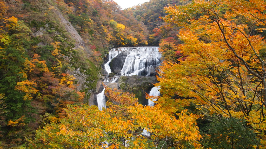 2010年10月茨城_4