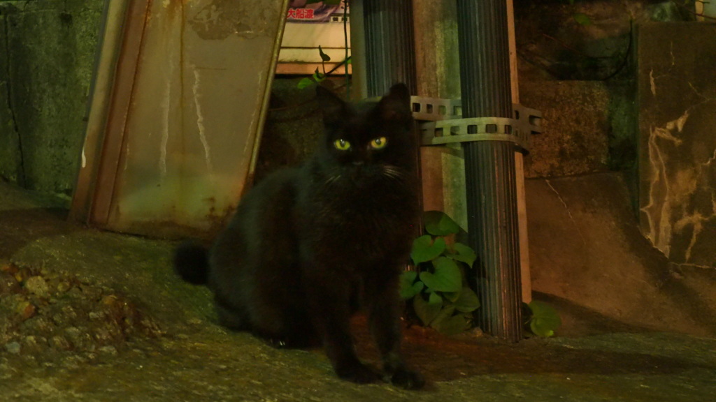 2016年10月夕やけだんだん_4