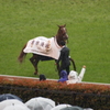 2011年5月日本ダービ_6