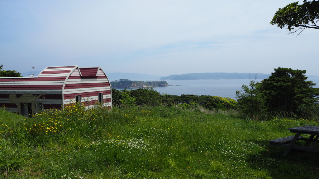 2016年5月田代島_5