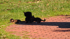 2012年10月若洲公園_4
